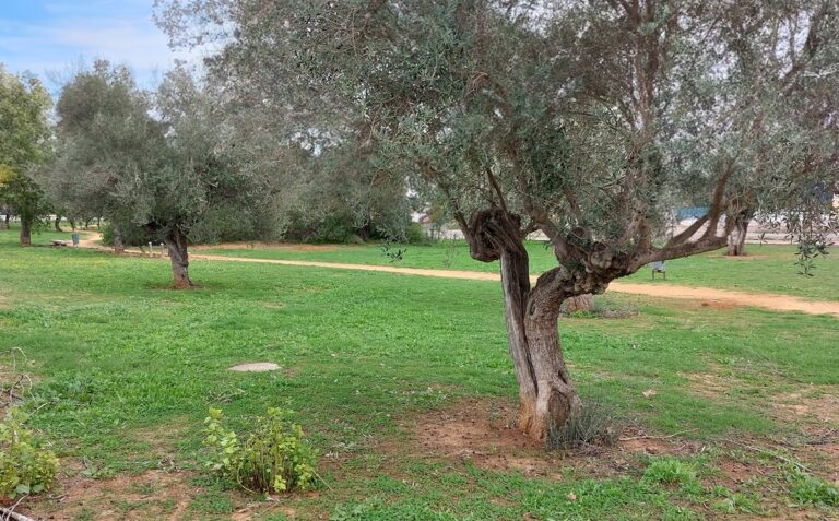 Parque