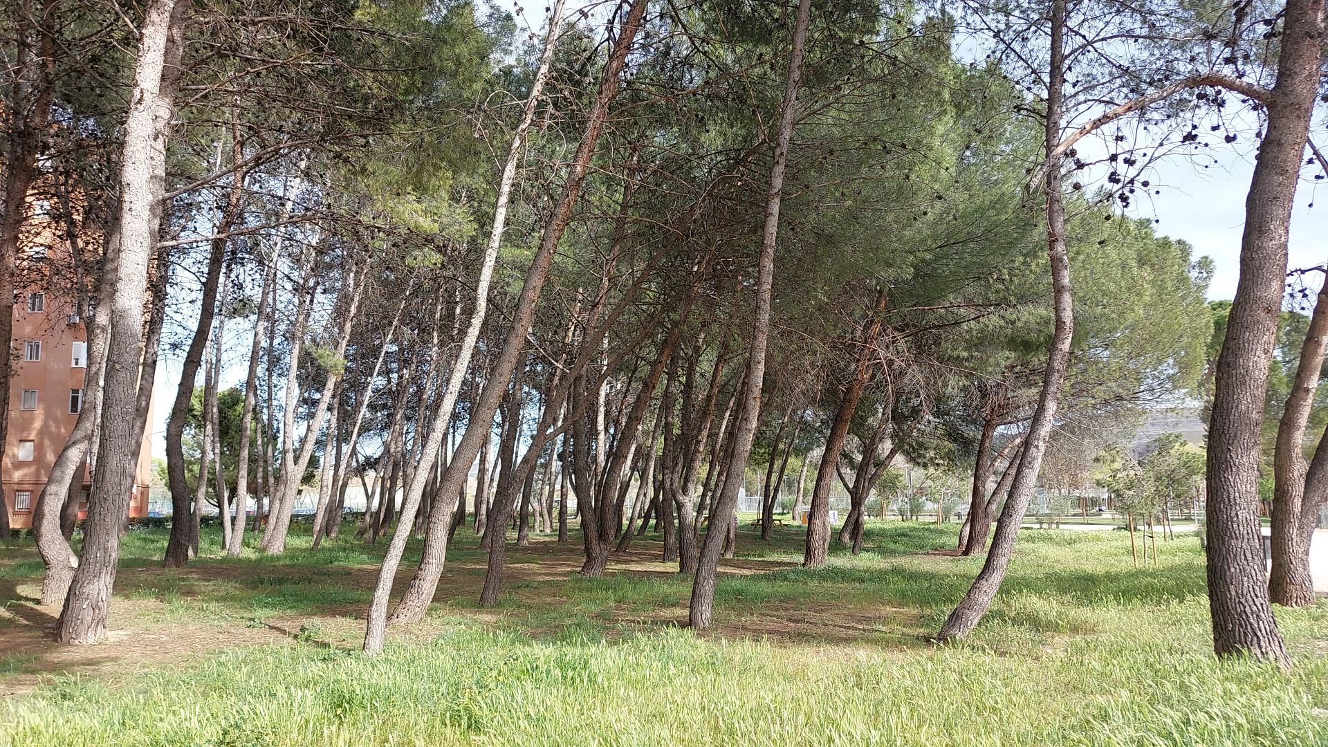 Residencial Cielo de Alcalá II